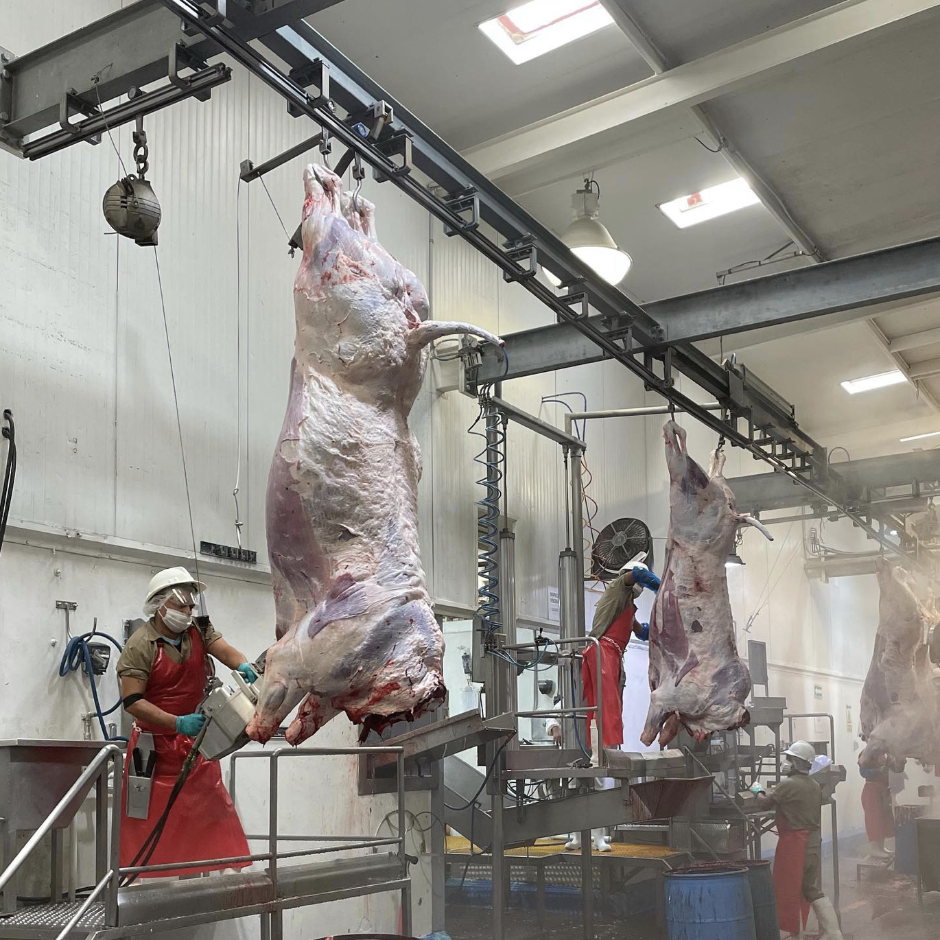 WhatsApp%20Image%202025 01 17%20at%2014.19.01.jpeg